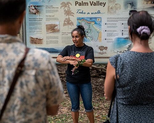 free walking tour gold coast