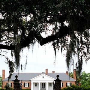 are dogs allowed at boone hall plantation