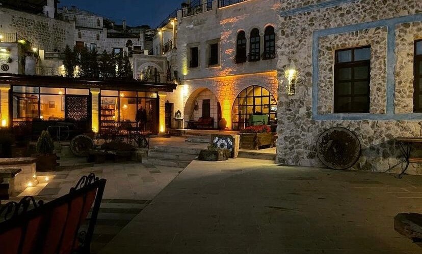 Garden at night