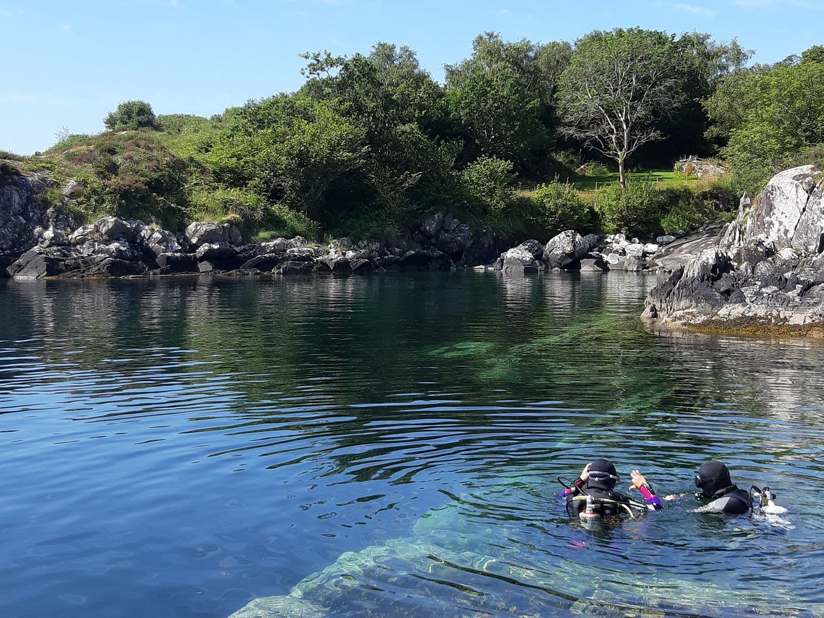 Kenmare Bay Diving, Кенмэр: лучшие советы перед посещением - Tripadvisor