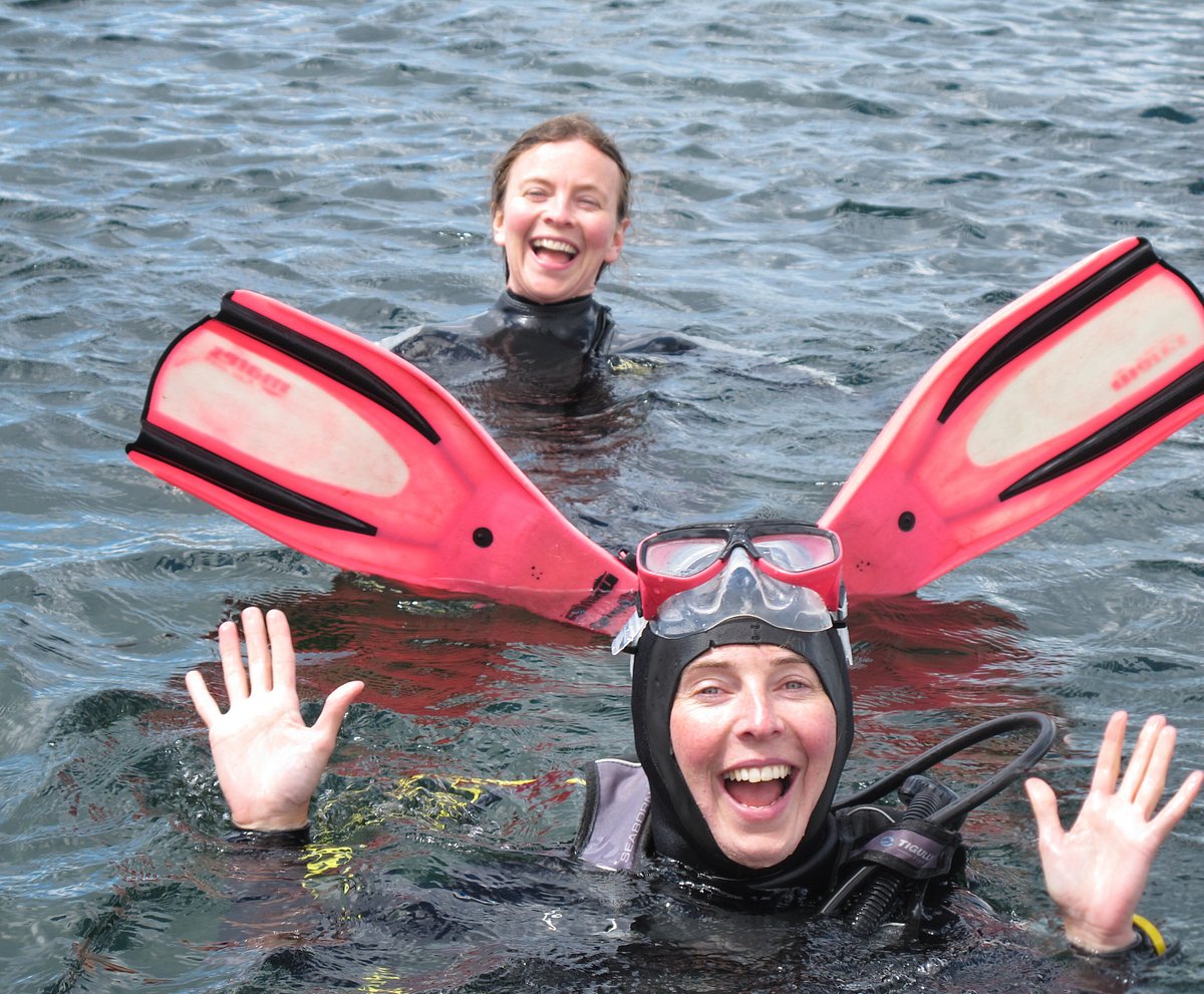 Kenmare Bay Diving, Кенмэр: лучшие советы перед посещением - Tripadvisor