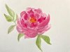 R. Lam
