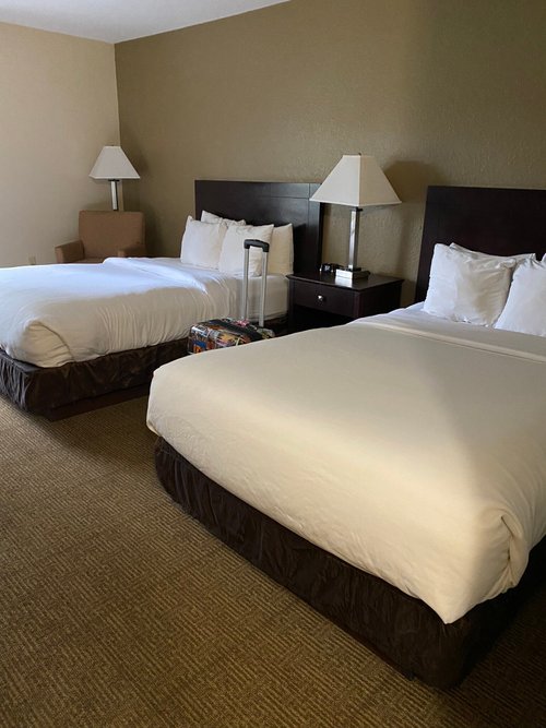 COMFORT INN & SUITES DELAND - NEAR UNIVERSITY $118 ($̶1̶6̶3̶) - Prices ...