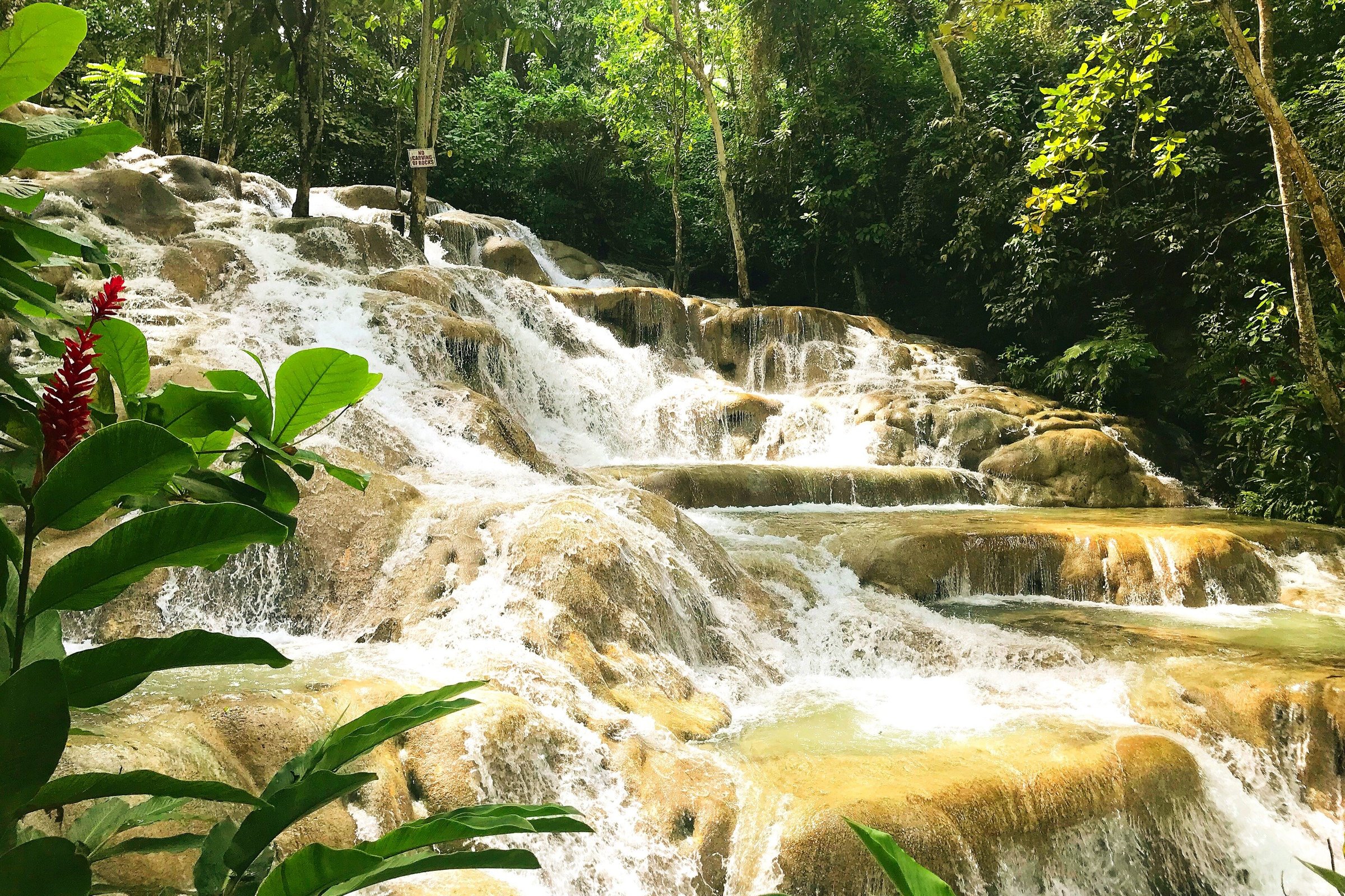 TUI JAMAICA (Montego Bay): Ce qu'il faut savoir pour votre visite (avec photos)