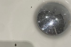 旅行者の写真
