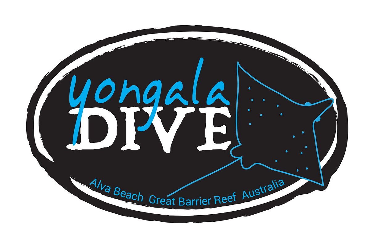 Yongala Dive, Ayr: лучшие советы перед посещением - Tripadvisor