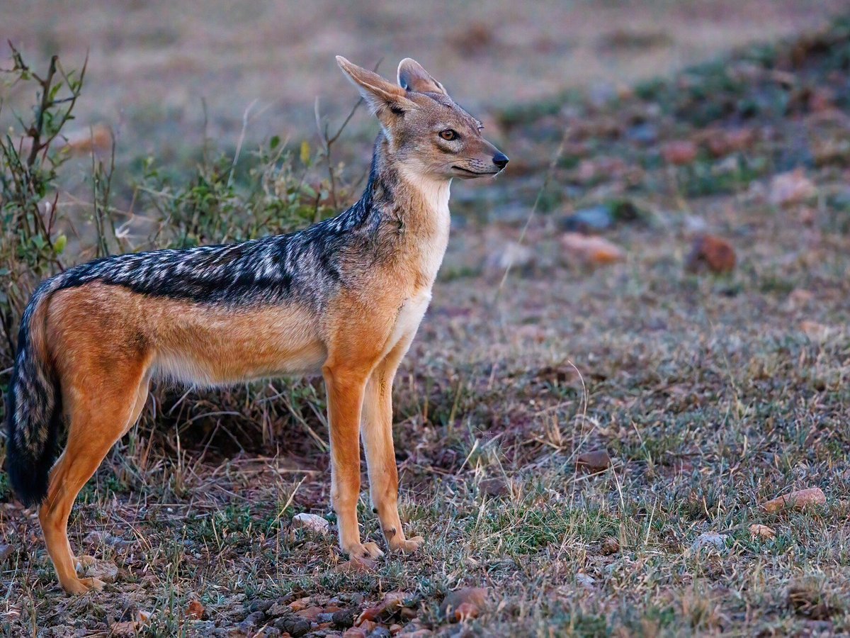 Nature's Wonderland Safaris (Nairobi) - All You Need to Know BEFORE You Go Nature's Wonderland Safaris (Nairobi) - All You Need to Know BEFORE You Go
