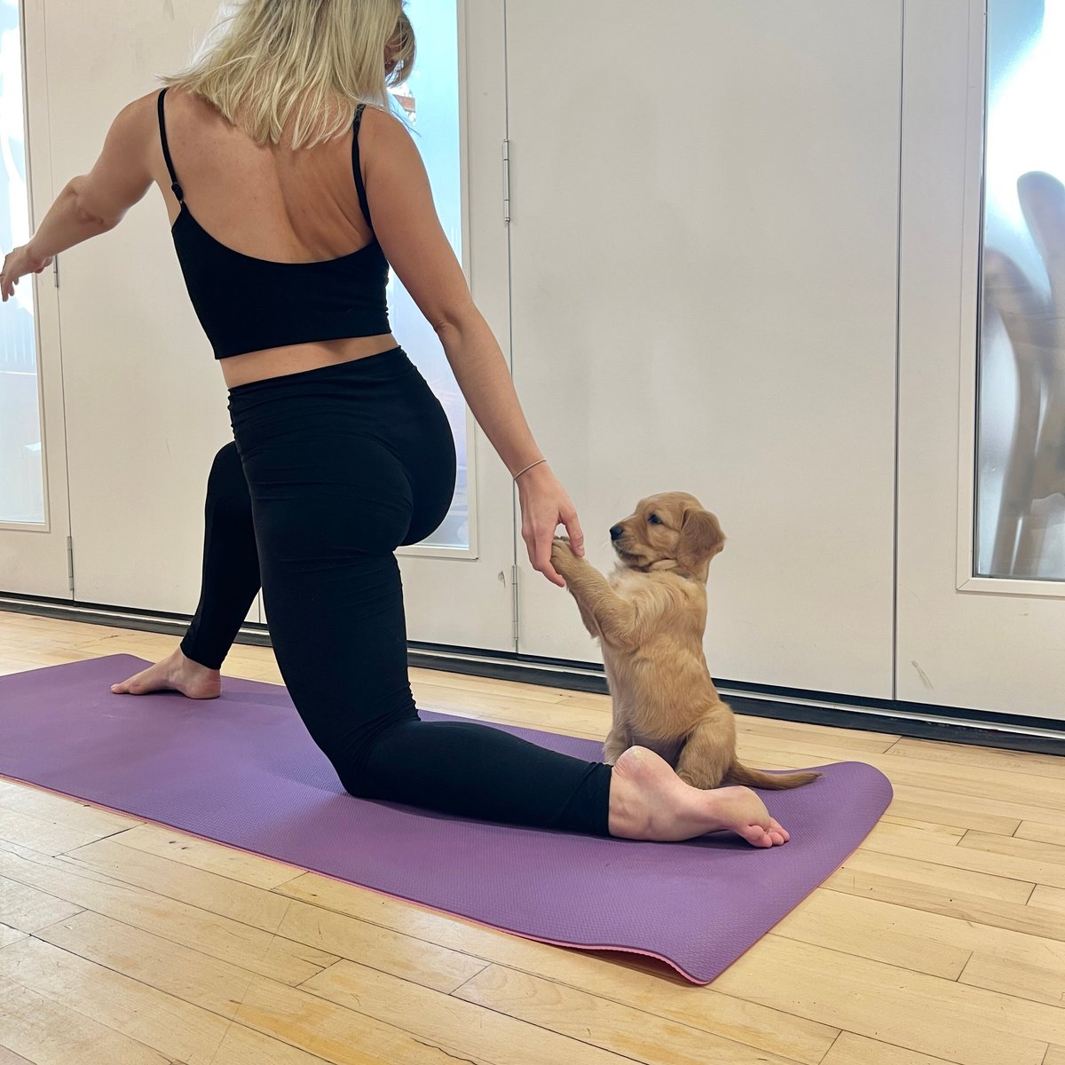 Puppy yoga большая покровская ул 12и фото