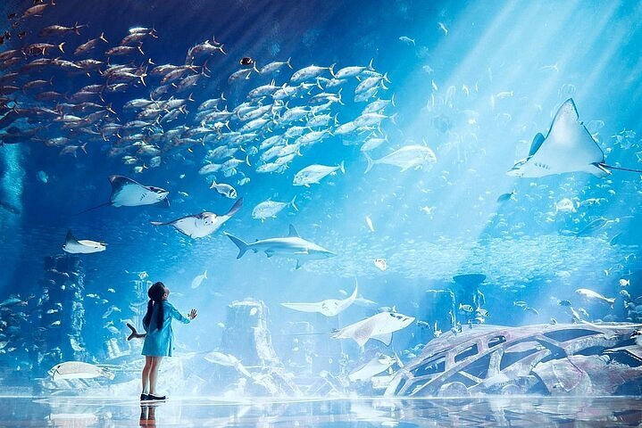 Erge, ernstige bar Verslijten 2023 Dubai Atlantis Lost Chamber Aquarium