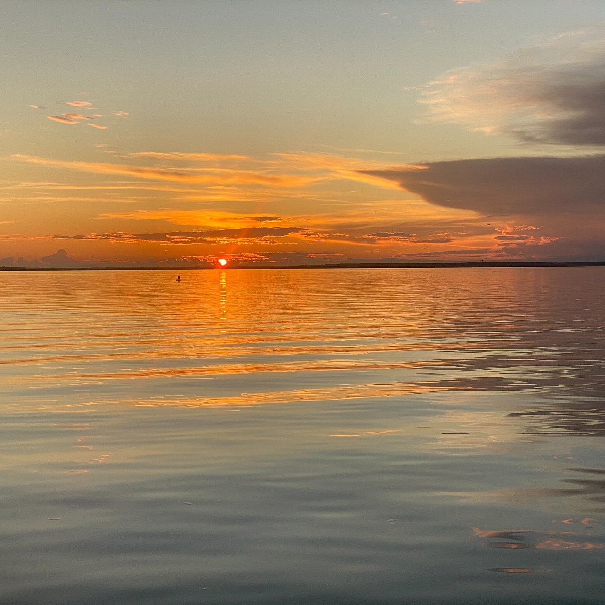 lbi-boat-cruises-beach-haven-lohnt-es-sich-aktuell-f-r-2023-mit