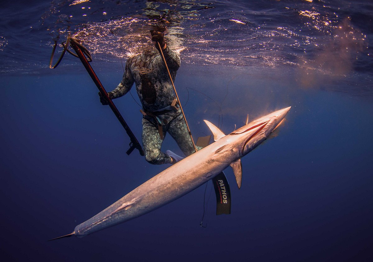 Spearfishing Baja - All You Need to Know BEFORE You Go (2024)