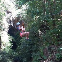 Tours with Frank the Tank Costa Rica (2025) - All You Need to Know