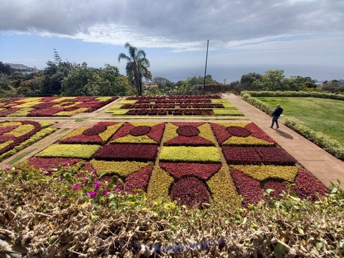 Madeira Islands Parkrunner71 review images