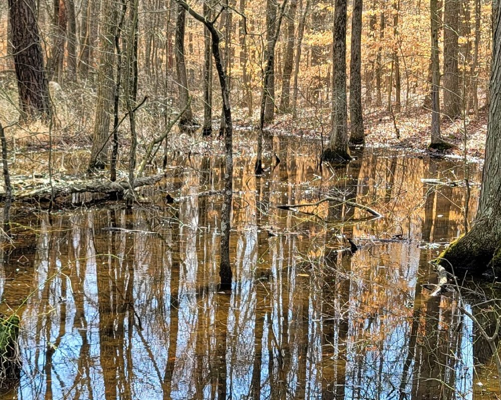 THE 10 BEST Delaware Nature & Wildlife Areas (Updated 2024)