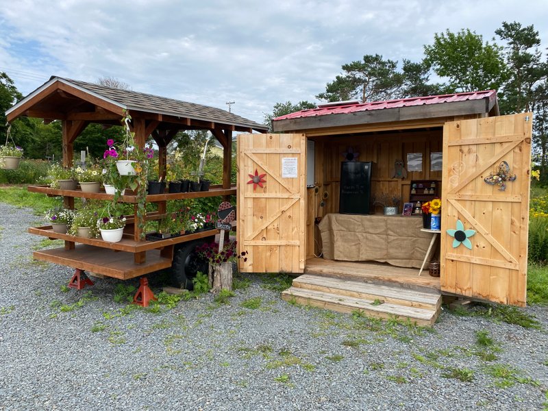 Lahave River Berry Farm Inc. - Lahave River Berry Farm Inc.의 리뷰 - 트립어드바이저