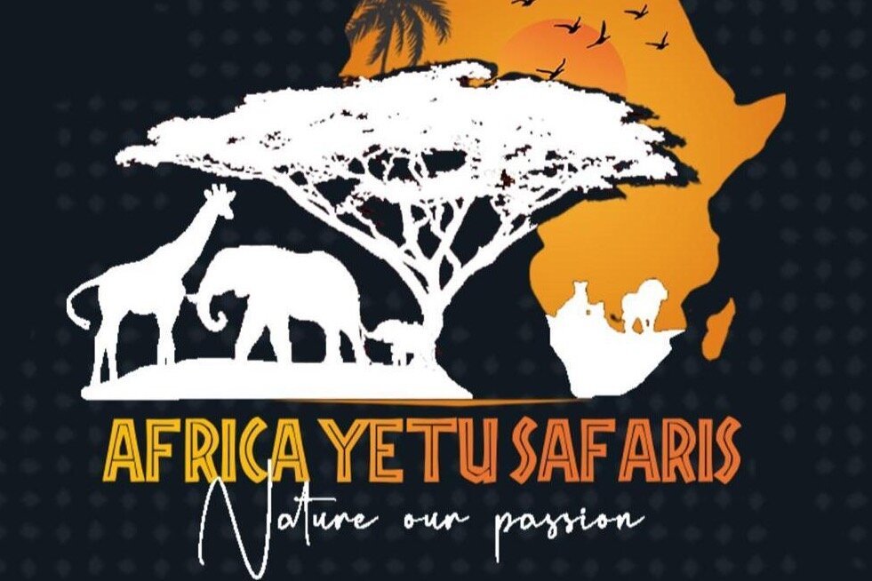 Africa Yetu Safaris - All You Need to Know BEFORE You Go (2024)