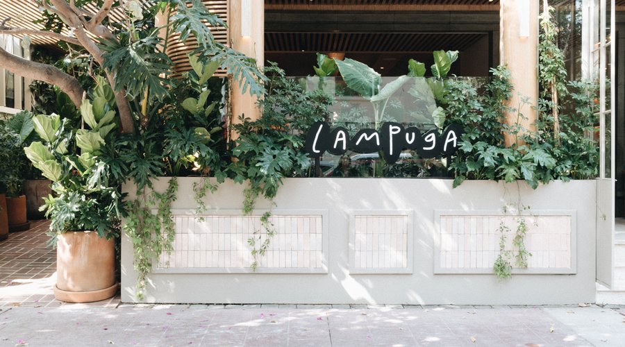 Lampuga