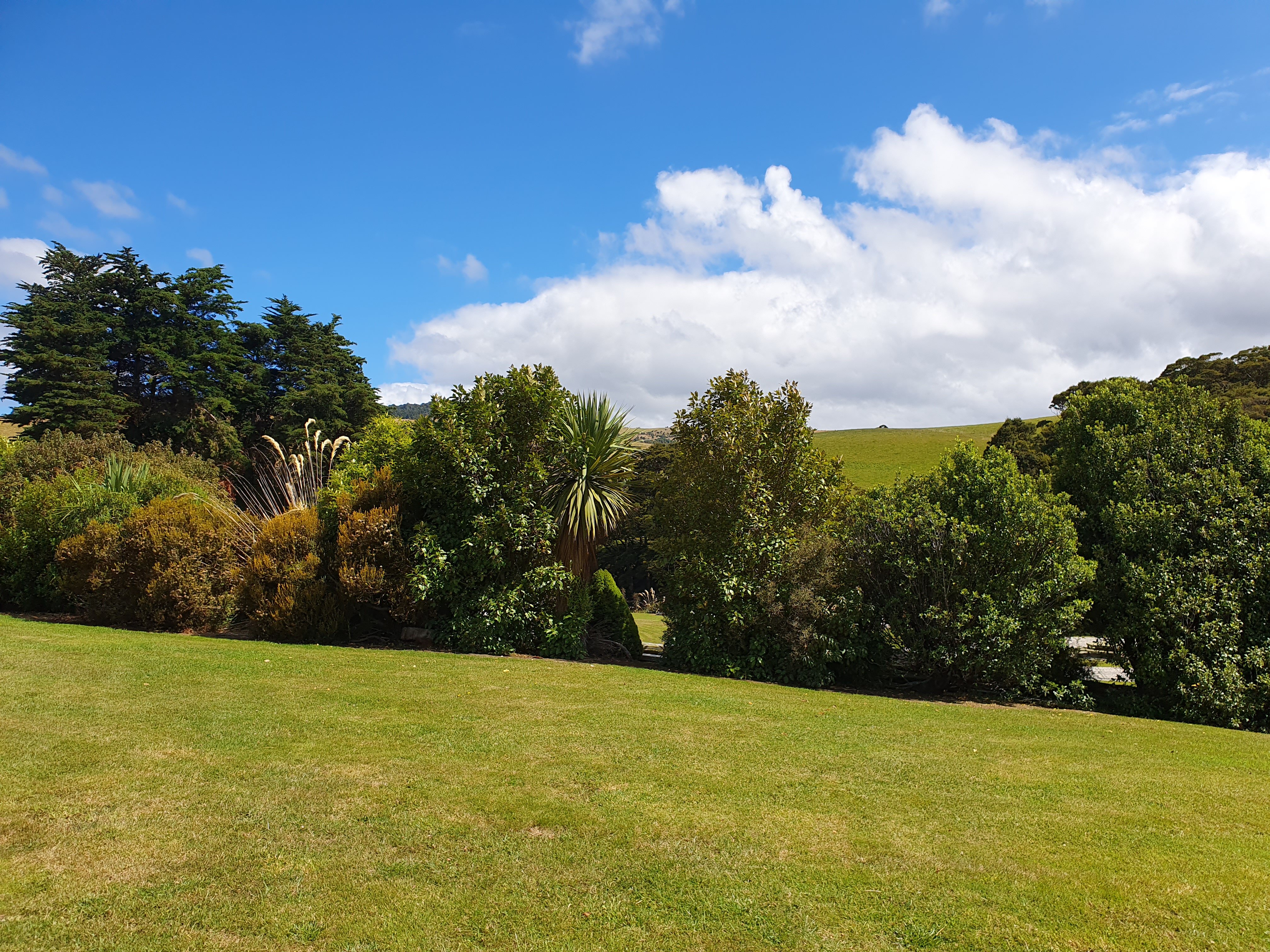 CATLINS RIVER RIDGE RETREAT - Guest House Reviews (Southland Region ...