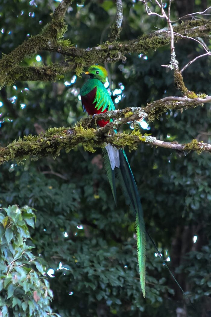 Sala de jogos com sinuca e pebolim - Picture of Ecco Capricornio,  Caraguatatuba - Tripadvisor