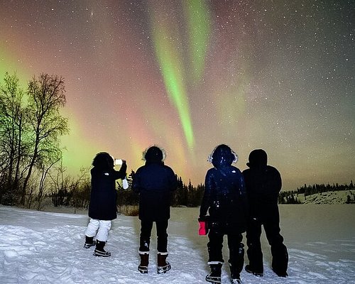 The 10 Best Yellowknife Tours