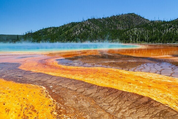 Tripadvisor | Private Best-of-Yellowstone-Tour Ab Paradise Valley Zur ...