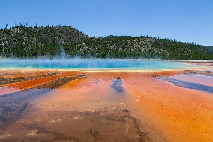 yellowstone gallery gardiner