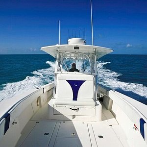 dream catcher yacht charters
