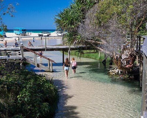 fraser island explorer day tour
