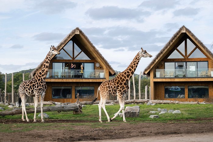 safari lodges at west midlands