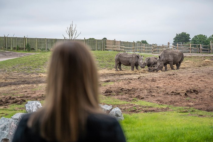 safari lodges at west midlands