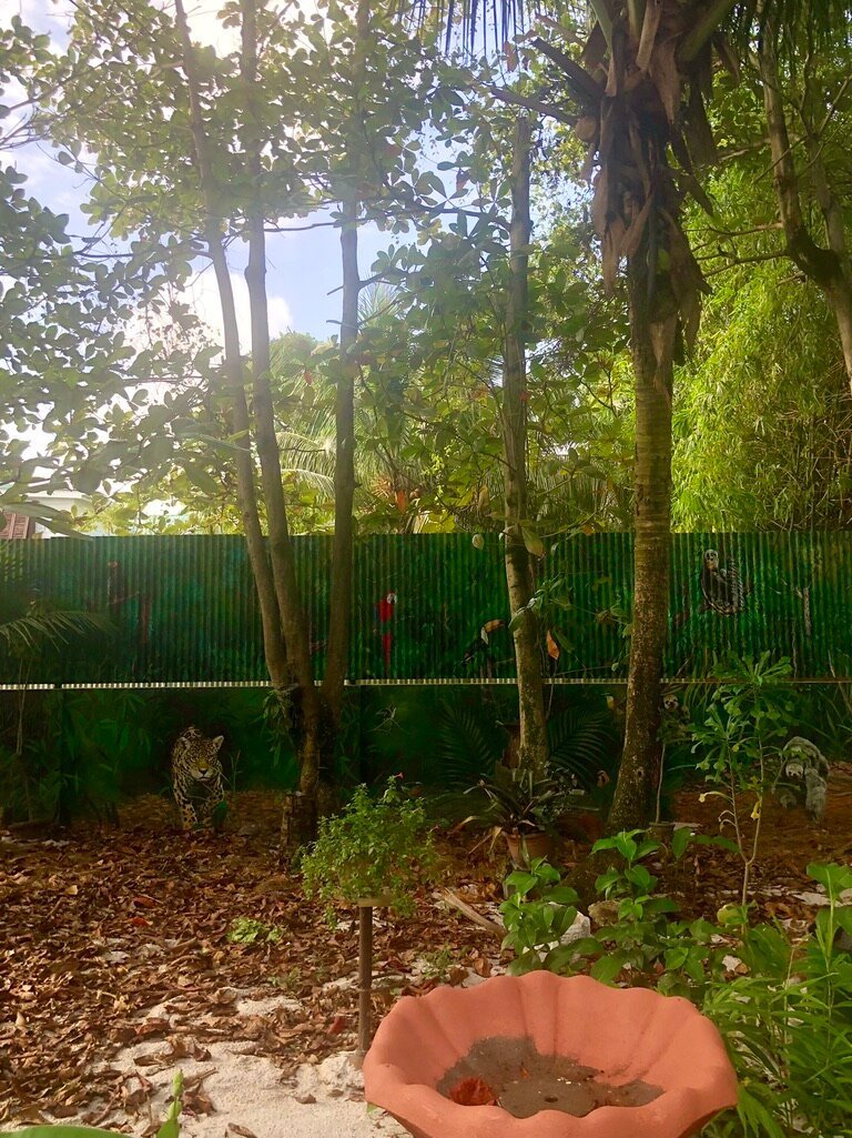 RAINFOREST B & B - Updated 2023 B&B Reviews (Guyana/Georgetown)