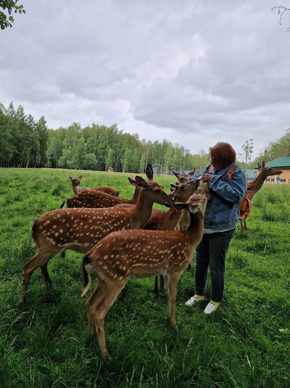 АРТ-УСАДЬБА ВЕРЕТЬЕВО (Талдом) - отзывы и фото - Tripadvisor