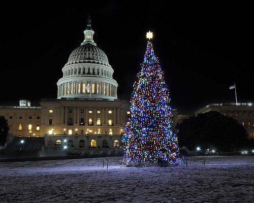 best tour of dc monuments