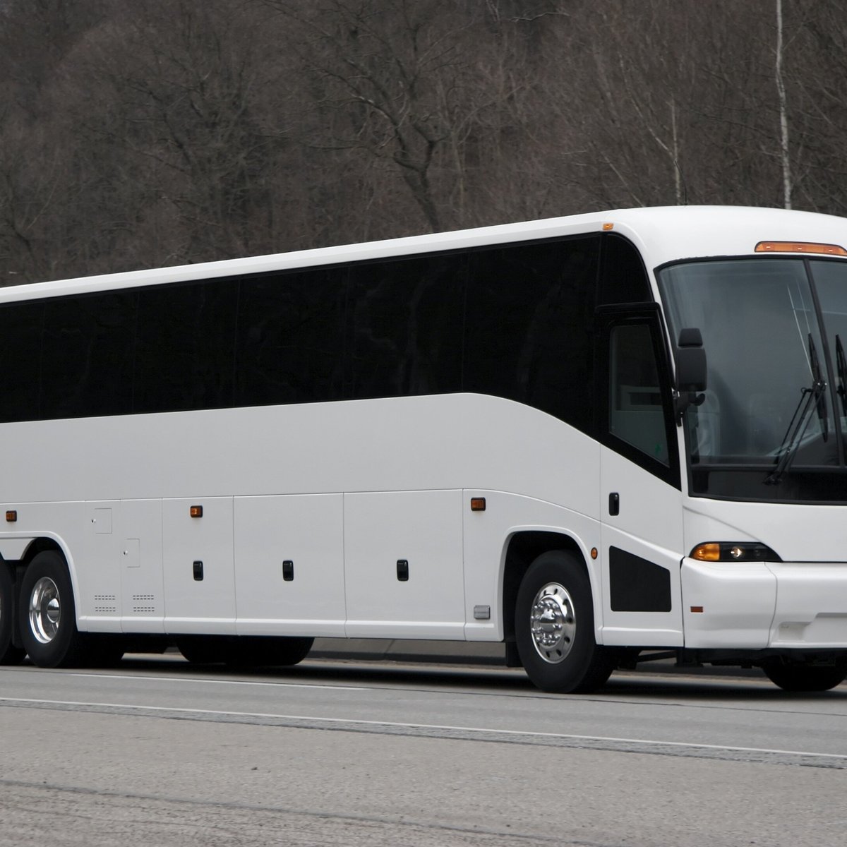 BCS Bus Charter New York City - 뉴욕 - BCS Bus Charter New York City의 리뷰