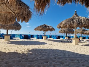 BUBALI BLISS STUDIOS - Updated 2024 Prices & Hotel Reviews (Aruba/Palm ...