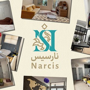 Narcis in one glance 
