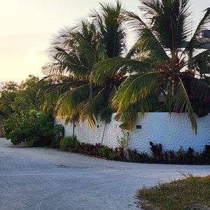 Walls