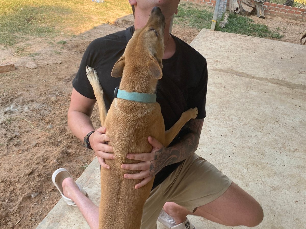 Animals Of Our World (Siem Reap) - All You Need to Know BEFORE You Go Animals Of Our World (Siem Reap) - All You Need to Know BEFORE You Go
