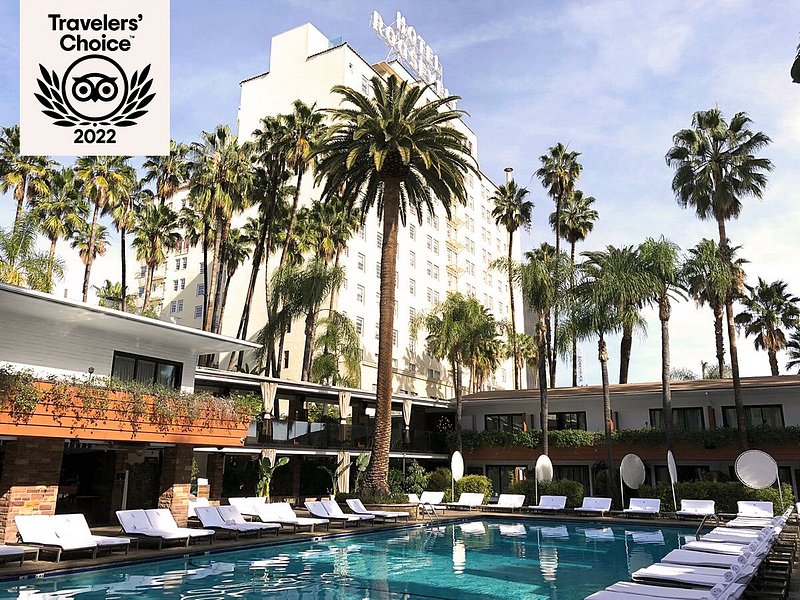 Outdoor pool lined with white loungers and palm trees, next to white hotel tower