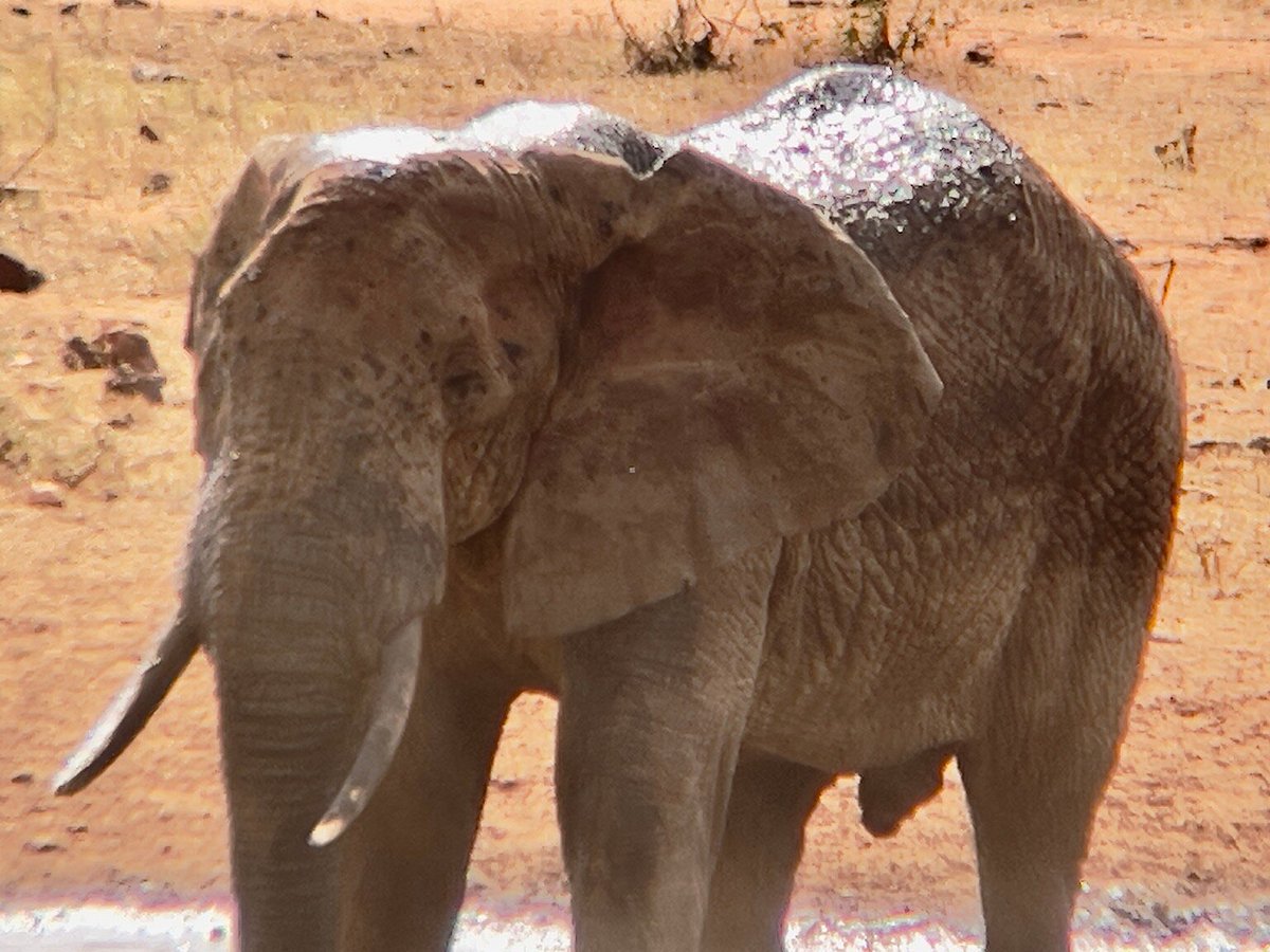 BEST MEMORY SAFARIS (Mombasa) - All You Need to Know BEFORE You Go BEST MEMORY SAFARIS (Mombasa) - All You Need to Know BEFORE You Go