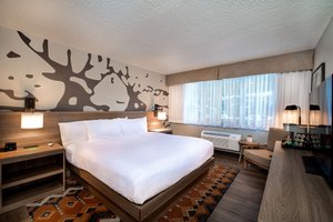 Room & Suite