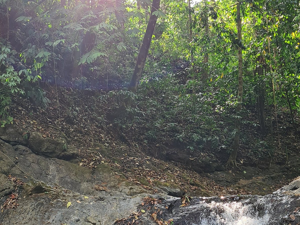 Costa Rica Waterfall Tours, Жако: лучшие советы перед посещением -  Tripadvisor