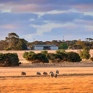 Kangaroo Island cellar door (Kingscote). Outside shot.