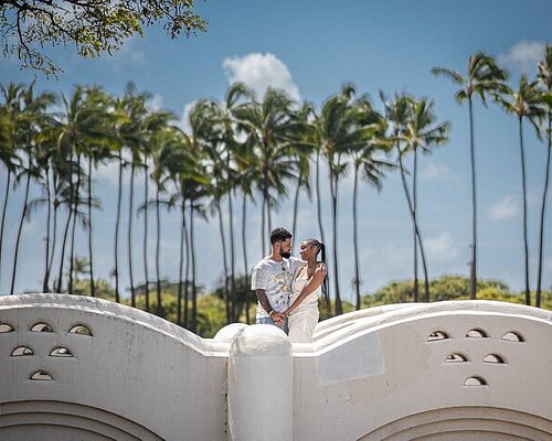city bus tour hawaii
