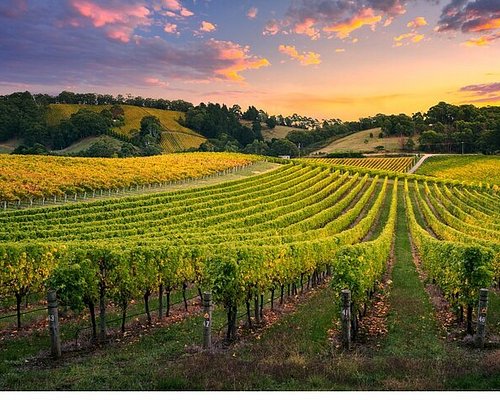 german wine tourism