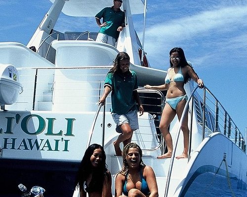 city bus tour hawaii