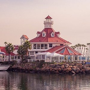 Seals Long Beach, Ca - Aquatic Capital of America - Picture of Long Beach,  The Aquatic Capital of America - Tripadvisor