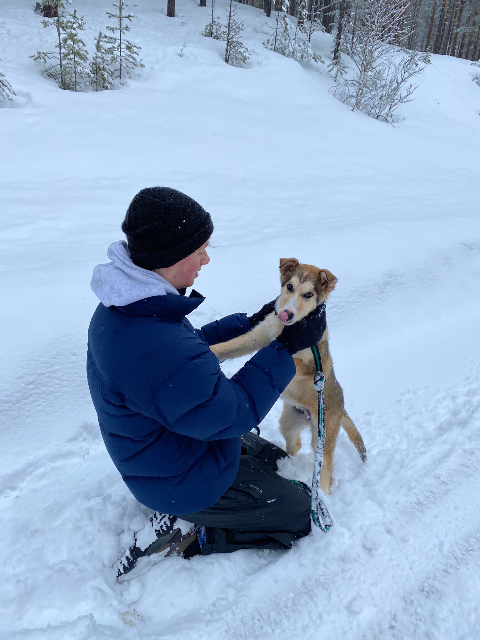 Wild Lapland (Rusktrask) - All You Need to Know BEFORE You Go