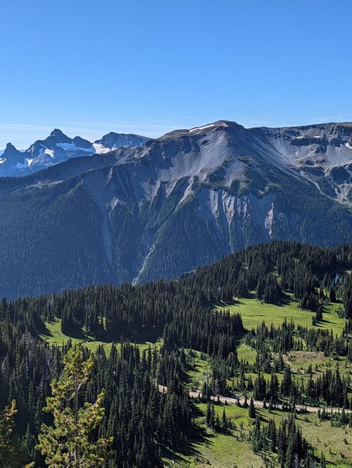 Mount Rainier National Park Pranav Balachandar review images