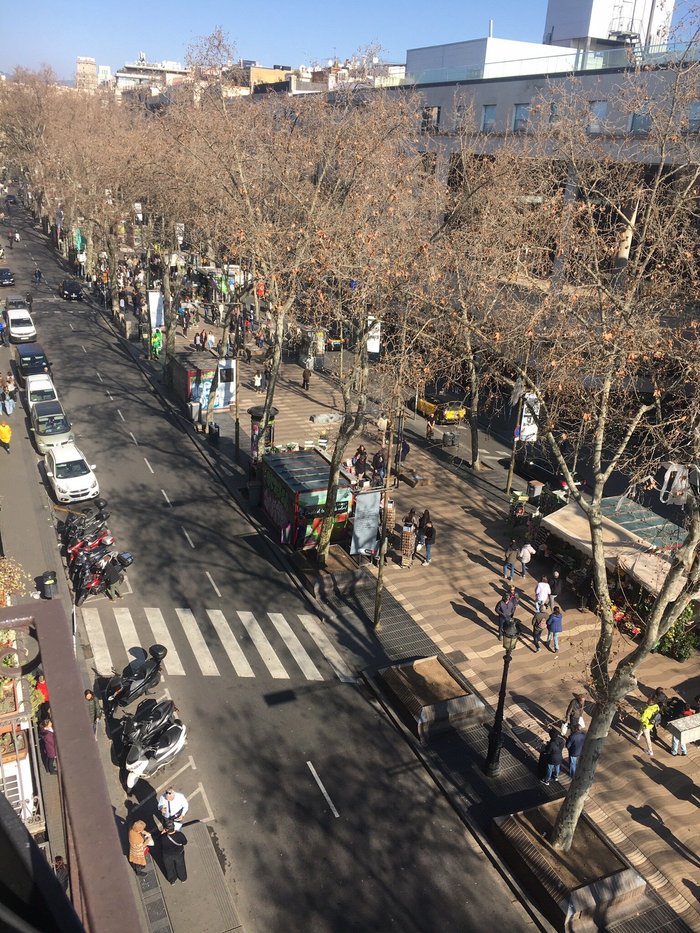 Hostal Las Flores Hôtel (Barcelone, Espagne) : tarifs 2023 et 22 avis
